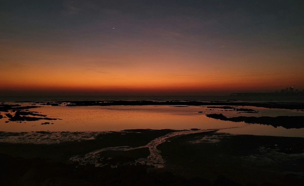 Latest and Breaking News on NDTV Latest and Breaking News on NDTV