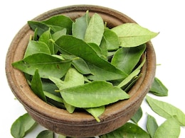 Nutritionist Explains Curry Leaves Are Natural Multivitamin For Women's Health Nutritionist Explains Curry Leaves Are Natural Multivitamin For Women's Health