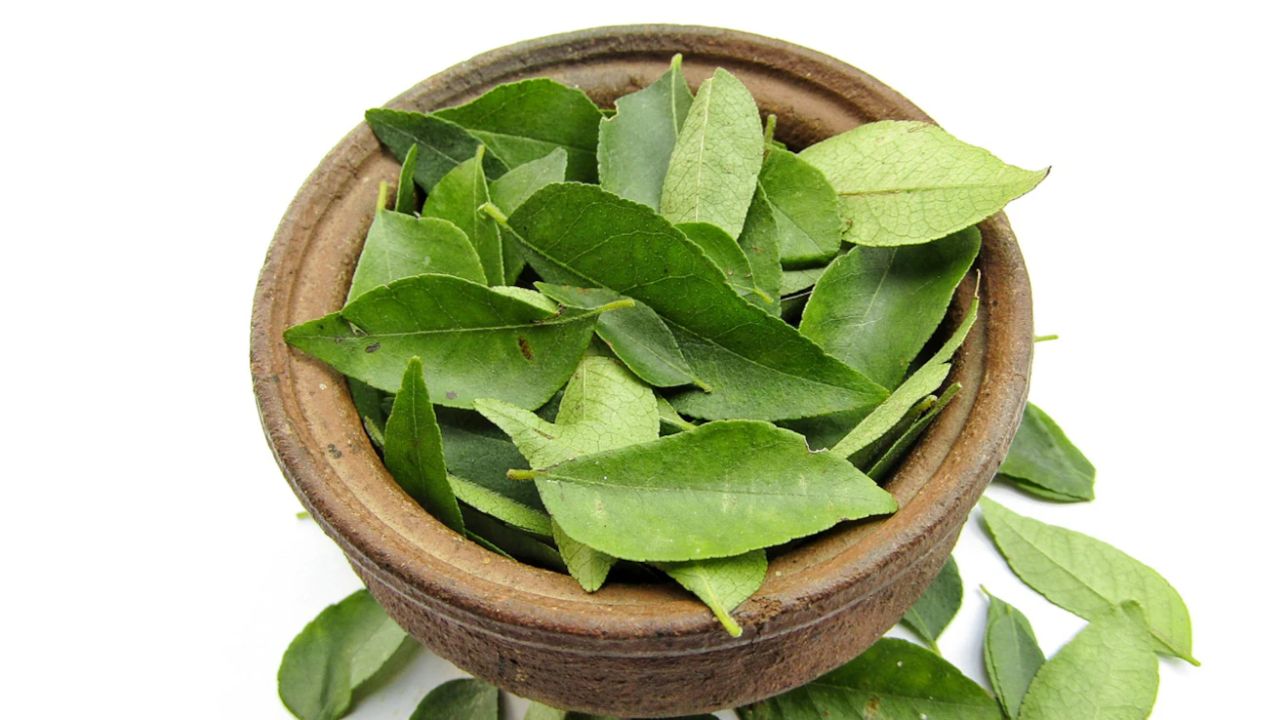 Curry leaves include essential B vitamins that help the neurological system