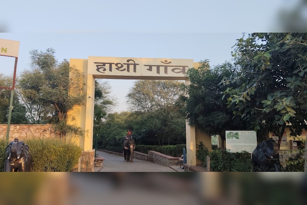 हाथी गांव देशी-विदेशी पर्यटकों के लिए बड़ा आकर्षण हाथी गांव देशी-विदेशी पर्यटकों के लिए बड़ा आकर्षण