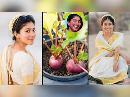 अब सैलेड के लिए बाजार जाने की जरूरत नहीं, गमले में उगाइए ये टिंटेड पौधा, 1 महीने में गाल हो जाएंगे गुलाबी अब सैलेड के लिए बाजार जाने की जरूरत नहीं, गमले में उगाइए ये टिंटेड पौधा, 1 महीने में गाल हो जाएंगे गुलाबी