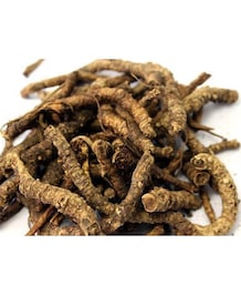 Surprising Health Benefits Of Kutki