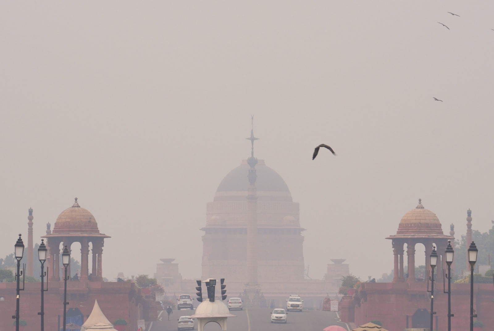 Latest and Breaking News on NDTV Latest and Breaking News on NDTV