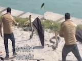 गंगा किनारे स्नान कर रहे थे लोग,तभी मंडराते नजर आए 13 से 15 फुट लंबे 'नागराज', मंजर देख डर से कांप उठेगा कलेजा गंगा किनारे स्नान कर रहे थे लोग,तभी मंडराते नजर आए 13 से 15 फुट लंबे 'नागराज', मंजर देख डर से कांप उठेगा कलेजा