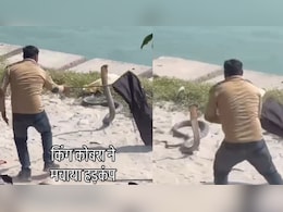 गंगा किनारे स्नान कर रहे थे लोग,तभी मंडराते नजर आए 13 से 15 फुट लंबे 'नागराज', मंजर देख डर से कांप उठेगा कलेजा गंगा किनारे स्नान कर रहे थे लोग,तभी मंडराते नजर आए 13 से 15 फुट लंबे 'नागराज', मंजर देख डर से कांप उठेगा कलेजा
