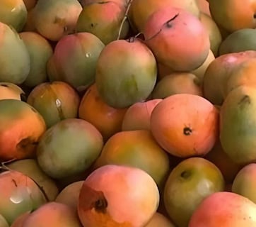 Optical illusion Test : तुम्हाला या फोटोत आंबे दिसतात? पण कुठंतरी एक पोपटही लपलाय, दिसला नसेल तर क्लिक करून बघा