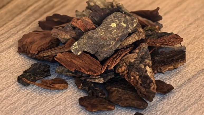 Arjun Chaal Can Boost Heart Health: Nutritionist Lists All Health Benefits