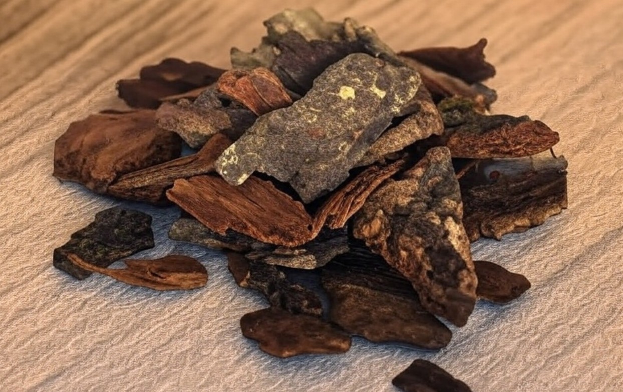 Arjun Chaal Can Boost Heart Health: Nutritionist Lists All Health Benefits