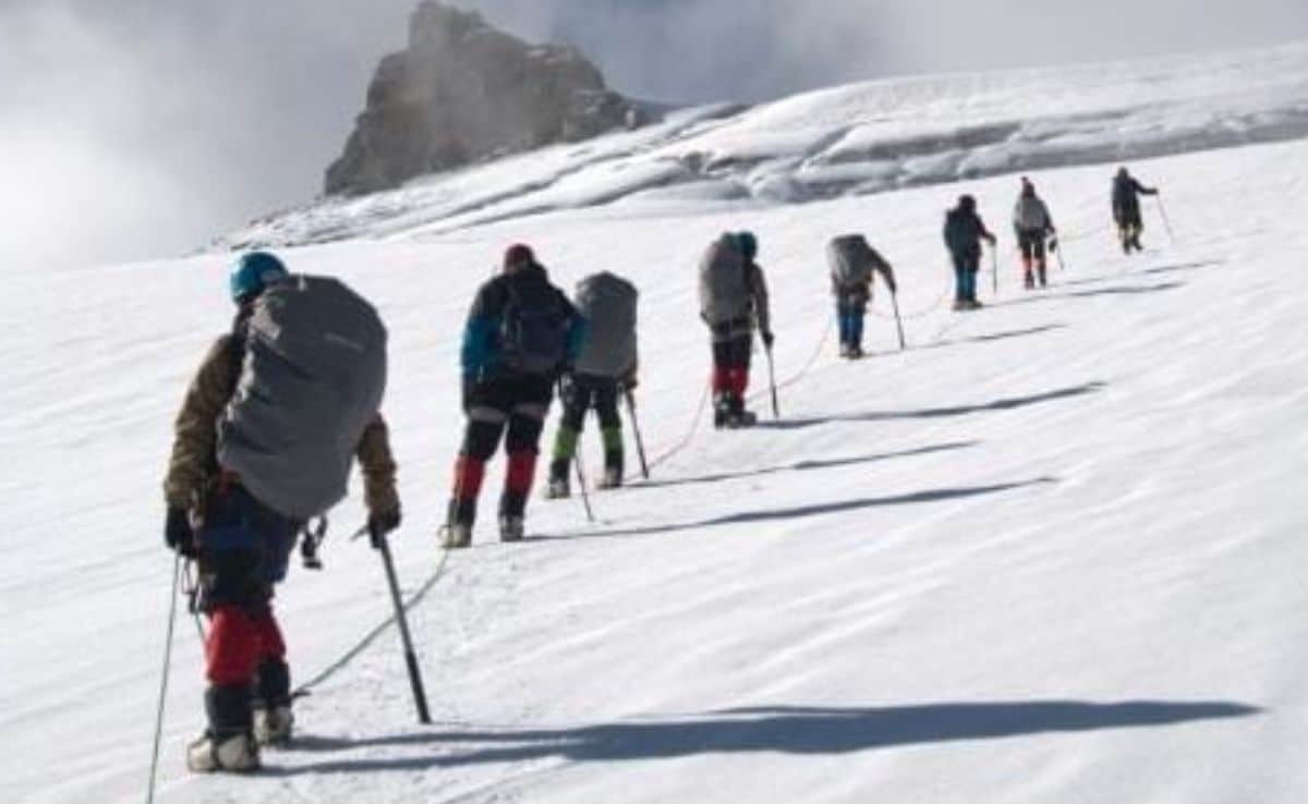 Latest and Breaking News on NDTV Latest and Breaking News on NDTV