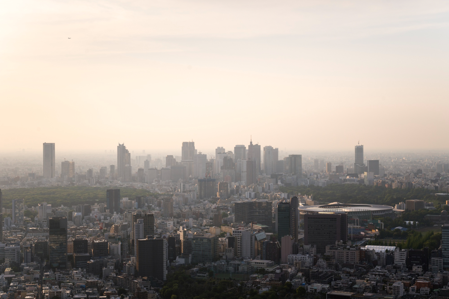 Must-Do Lifestyle Changes To Combat High Air Pollution Now