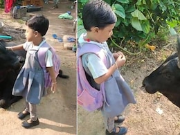 स्कूल जाने से पहले छोटी बच्ची ने गाय से कुछ इस तरह लिया आशीर्वाद, मासूम के क्यूट अंदाज़ ने जीता लोगों का दिल स्कूल जाने से पहले छोटी बच्ची ने गाय से कुछ इस तरह लिया आशीर्वाद, मासूम के क्यूट अंदाज़ ने जीता लोगों का दिल