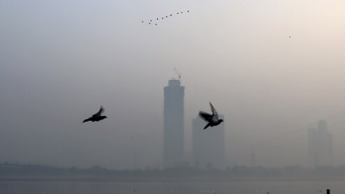 गैस चैंबर बनी दिल्ली, कल रात भी जमकर जले पटाखे; दिल्ली में आज सुबह 36 जगहों पर 300 के पार पहुंचा AQI