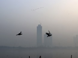 गैस चैंबर बनी दिल्ली, कल रात भी जमकर जले पटाखे; दिल्ली में आज सुबह 36 जगहों पर 300 के पार पहुंचा AQI गैस चैंबर बनी दिल्ली, कल रात भी जमकर जले पटाखे; दिल्ली में आज सुबह 36 जगहों पर 300 के पार पहुंचा AQI