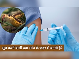 क्या वाकई सांप के जहर से बनता है एनेस्थीसिया? डॉक्टर दिवेश अरोड़ा ने बताया सच, जानिए क्या वाकई सांप के जहर से बनता है एनेस्थीसिया? डॉक्टर दिवेश अरोड़ा ने बताया सच, जानिए