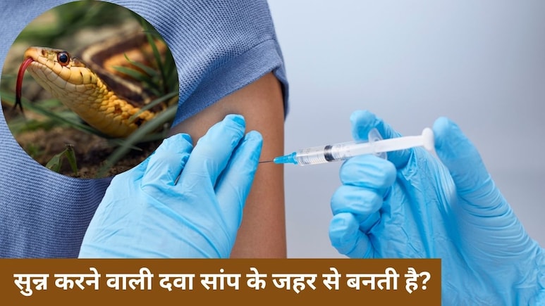 क्या वाकई सांप के जहर से बनता है एनेस्थीसिया? डॉक्टर दिवेश अरोड़ा ने बताया सच, जानिए क्या वाकई सांप के जहर से बनता है एनेस्थीसिया? डॉक्टर दिवेश अरोड़ा ने बताया सच, जानिए