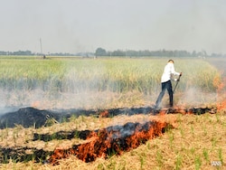 At 147, Punjab Sees Season's Biggest Single-Day Jump In Farm Fires