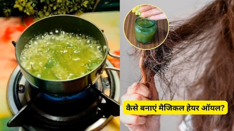 7 दिनों में बाल झड़ना-टूटना हो जाएगा बंद! बस लगा लें ये 'मैजिकल हेयर ऑयल', घर पर ऐसे करें तैयार 7 दिनों में बाल झड़ना-टूटना हो जाएगा बंद! बस लगा लें ये 'मैजिकल हेयर ऑयल', घर पर ऐसे करें तैयार