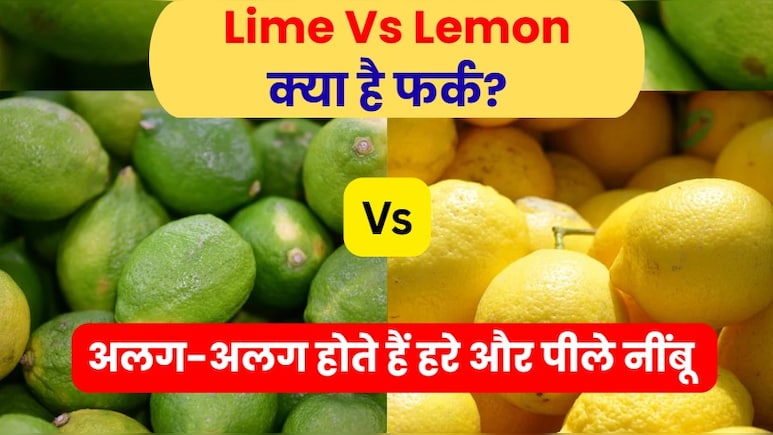 दो अलग फल हैं हरा और पीला नींबू, क्‍या आपको पता है इनके बीच का फर्क? 99% लोग दोनों को मानते हैं एक
