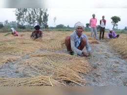 Chhattisgarh Rajyotsava 2025: छत्तीसगढ़ नहीं उगाता सबसे ज्यादा चावल, फिर भी क्यों कहलाता ‘धान का कटोरा’? Chhattisgarh Rajyotsava 2025: छत्तीसगढ़ नहीं उगाता सबसे ज्यादा चावल, फिर भी क्यों कहलाता ‘धान का कटोरा’?