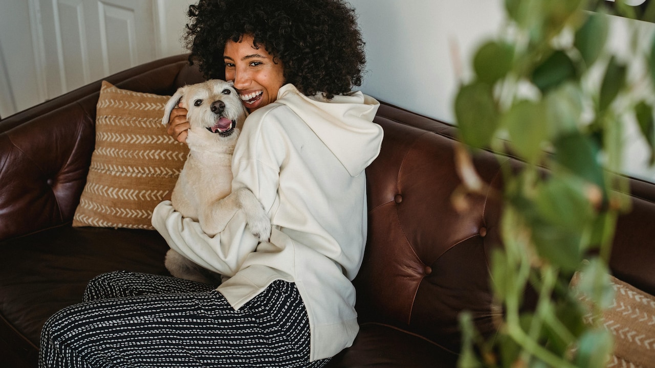 Explore stylish sweatshirts, tops, dresses and more from leading brands at affordable rates Explore stylish sweatshirts, tops, dresses and more from leading brands at affordable rates