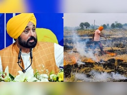 पराली जलाने की घटनाएं हुई 90 फीसदी कम... पंजाब सरकार का बड़ा दावा पराली जलाने की घटनाएं हुई 90 फीसदी कम... पंजाब सरकार का बड़ा दावा