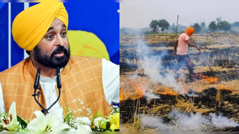 पराली जलाने की घटनाएं हुई 90 फीसदी कम... पंजाब सरकार का बड़ा दावा पराली जलाने की घटनाएं हुई 90 फीसदी कम... पंजाब सरकार का बड़ा दावा