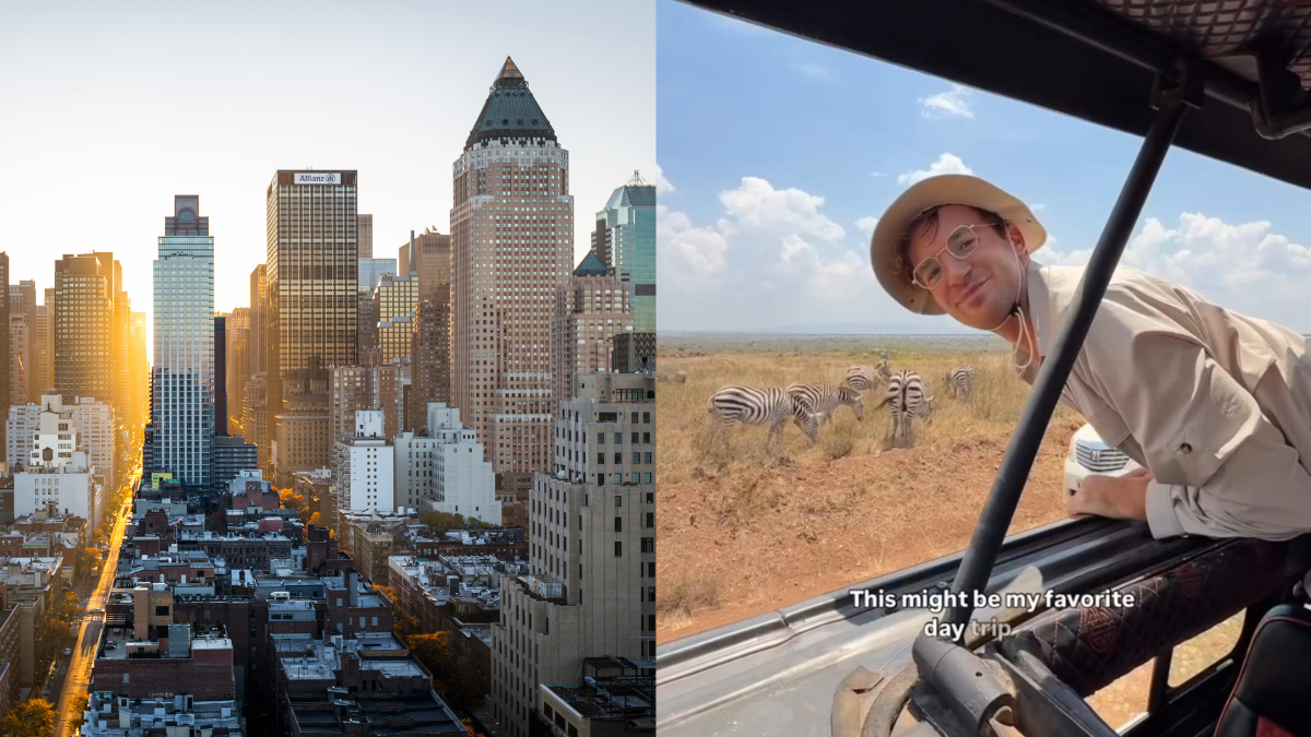 Watch: Vlogger Takes One-Day Trip For African Safari From New York, Shocks Internet