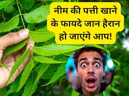 नीम की पत्ती से क्या फायदे होते हैं, नीम की पत्ती कब खानी चाहिए, जानिए इसे खाने का सही समय और फायदे