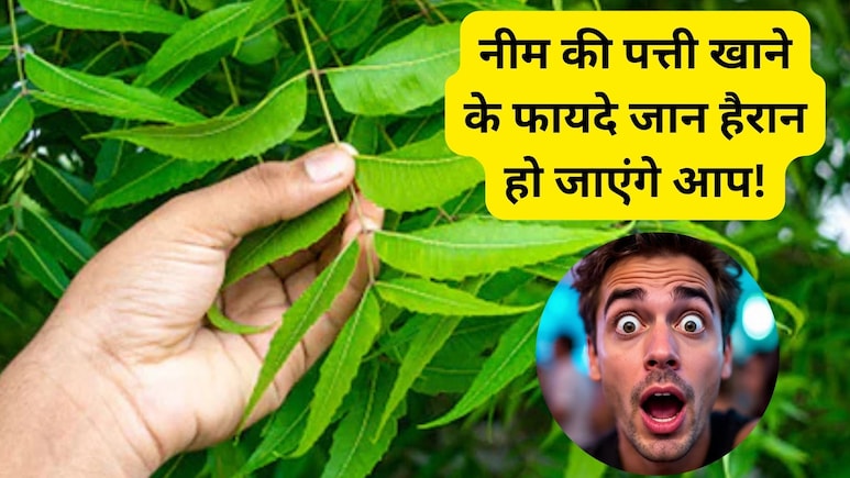 नीम की पत्ती से क्या फायदे होते हैं, नीम की पत्ती कब खानी चाहिए, जानिए इसे खाने का सही समय और फायदे