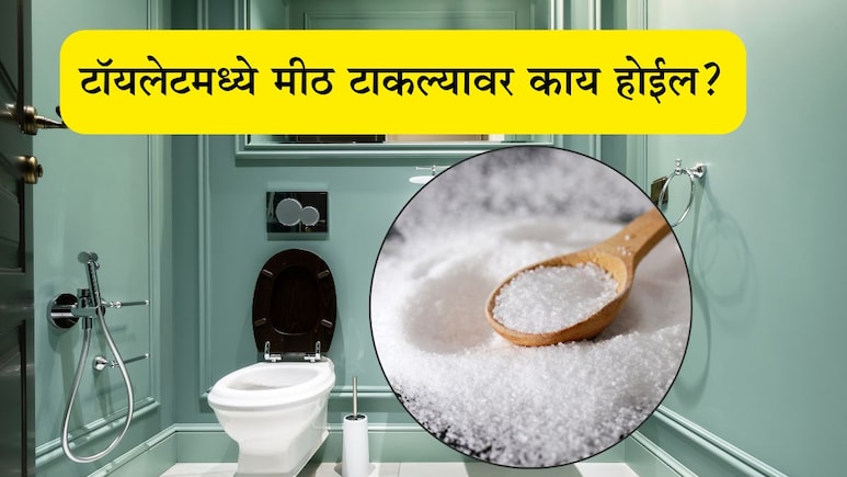 Toilet Cleaning Hacks: टॉयलेट सीटवर मीठ टाकल्यास काय होईल? सोप्या ट्रिकमुळे मिळेल मोठी मदत