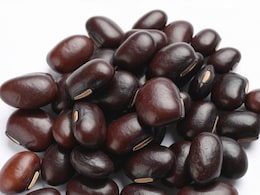 कौंच बीज: आयुर्वेद की शक्तिशाली औषधि और इसके शोधन का महत्व  कौंच बीज: आयुर्वेद की शक्तिशाली औषधि और इसके शोधन का महत्व