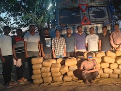 Drug Warehouse On Wheels: 500-kg Ganja Seized From Truck In Jharkhand