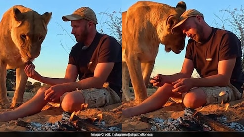 शेरनी के शिकार से ही शख्स ने निकाला मांस, आग पर पकाकर, फिर जो किया, देखकर लोग बोले- ये है असली बॉन्डिंग!