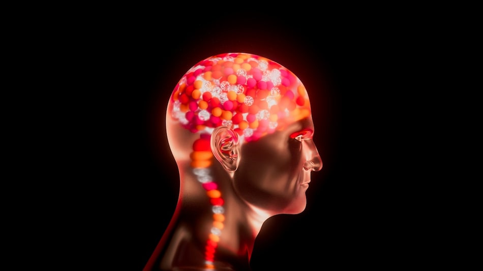 OpenAI के सीईओ की इंसान का दिमाग पढ़ने की तैयारी, एलन मस्क को मिलेगी सीधी टक्कर OpenAI के सीईओ की इंसान का दिमाग पढ़ने की तैयारी, एलन मस्क को मिलेगी सीधी टक्कर