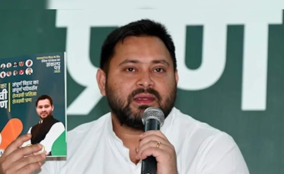 On Grand Alliance's Bihar Manifesto, Pictures Say A Thousand Words