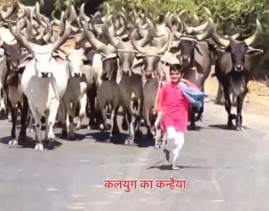 सोशल मीडिया पर छाया ‘कलयुग का कन्हैया’, साधारण बालक, असाधारण प्रेम, Video मंत्रमुग्ध कर देगा