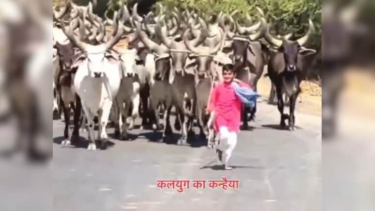 सोशल मीडिया पर छाया ‘कलयुग का कन्हैया’, साधारण बालक, असाधारण प्रेम, Video मंत्रमुग्ध कर देगा