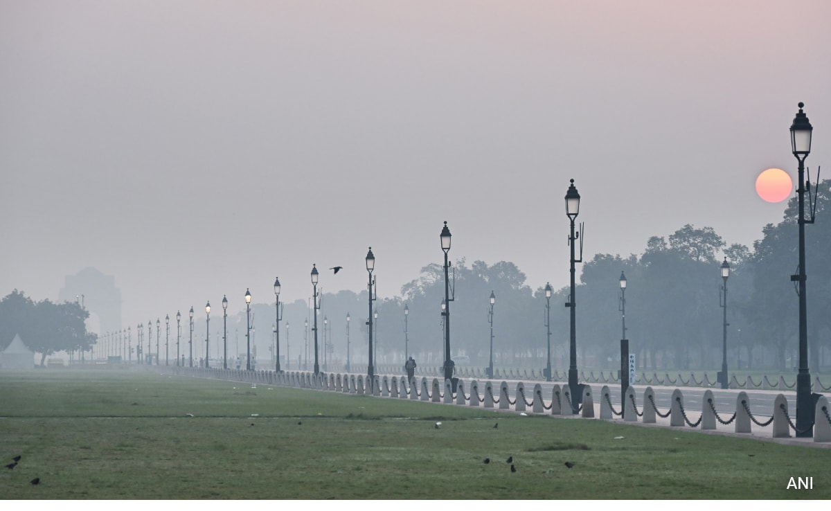 Strong Winds Bring Slight Relief, But Delhi's Air Quality Still "Very Poor"