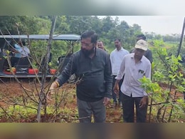 दिवाली पर अपने गांव में खेती करते दिखे एकनाथ शिंदे, कहा – “मैं गांव जाता हूं तो विरोधियों के पेट में दर्द..." दिवाली पर अपने गांव में खेती करते दिखे एकनाथ शिंदे, कहा – “मैं गांव जाता हूं तो विरोधियों के पेट में दर्द..."