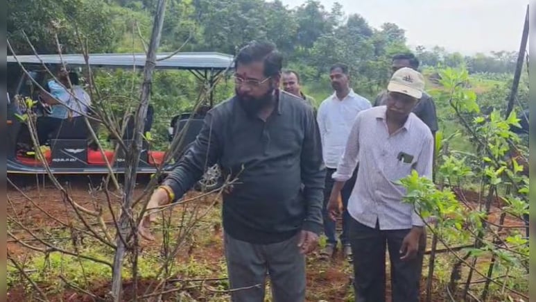 दिवाली पर अपने गांव में खेती करते दिखे एकनाथ शिंदे, कहा – “मैं गांव जाता हूं तो विरोधियों के पेट में दर्द..." दिवाली पर अपने गांव में खेती करते दिखे एकनाथ शिंदे, कहा – “मैं गांव जाता हूं तो विरोधियों के पेट में दर्द..."