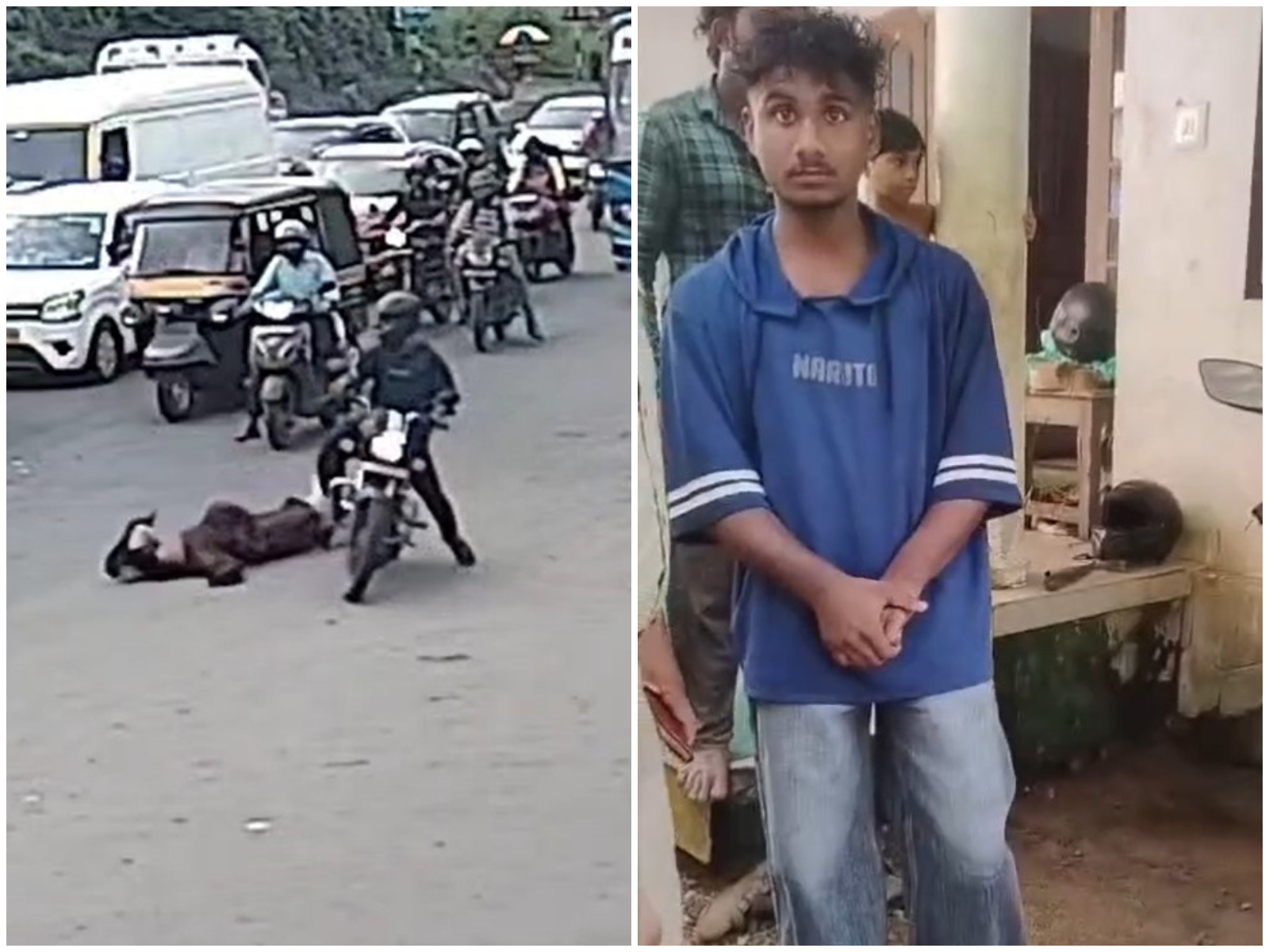 Video: Teen Jumps Signal, Hits Senior Citizen With Bike In Kerala, Arrested