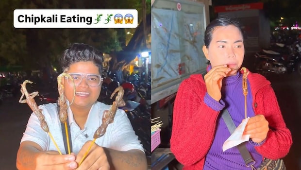 Would You Dare To Try? Cambodia's Fried 'Chipkali' Goes Viral Online
