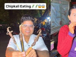 Would You Dare To Try? Cambodia's Fried 'Chipkali' Goes Viral Online Would You Dare To Try? Cambodia's Fried 'Chipkali' Goes Viral Online