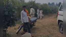 सिहोरा के जंगलों में जंगली जानवरों की संदिग्ध मौतें, तेंदुए का शव मिलने से हड़कंप