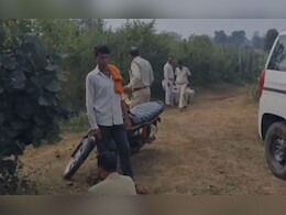 सिहोरा के जंगलों में जंगली जानवरों की संदिग्ध मौतें, तेंदुए का शव मिलने से हड़कंप सिहोरा के जंगलों में जंगली जानवरों की संदिग्ध मौतें, तेंदुए का शव मिलने से हड़कंप