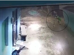 मदरसे से लौट रहे बच्चे पर आवारा कुत्तों ने किया हमला, फरिश्ता बनकर आए बाइक सवार ने बचाई जान मदरसे से लौट रहे बच्चे पर आवारा कुत्तों ने किया हमला, फरिश्ता बनकर आए बाइक सवार ने बचाई जान