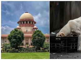 3 नवंबर को पेश हों वरना ऑडिटोरियम में लगाएंगे अदालत... आवारा कुत्तों पर क्यों भड़का सुप्रीम कोर्ट 3 नवंबर को पेश हों वरना ऑडिटोरियम में लगाएंगे अदालत... आवारा कुत्तों पर क्यों भड़का सुप्रीम कोर्ट