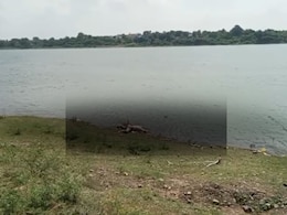 धार में सिर कटी लाश से दहशत, प्राइवेट पार्ट भी काटा गया, तन पर नहीं था एक भी कपड़ा, किसने की खौफनाक हत्या? धार में सिर कटी लाश से दहशत, प्राइवेट पार्ट भी काटा गया, तन पर नहीं था एक भी कपड़ा, किसने की खौफनाक हत्या?