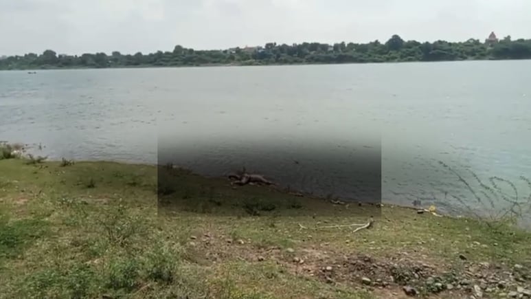 धार में सिर कटी लाश से दहशत, प्राइवेट पार्ट भी काटा गया, तन पर नहीं था एक भी कपड़ा, किसने की खौफनाक हत्या? धार में सिर कटी लाश से दहशत, प्राइवेट पार्ट भी काटा गया, तन पर नहीं था एक भी कपड़ा, किसने की खौफनाक हत्या?