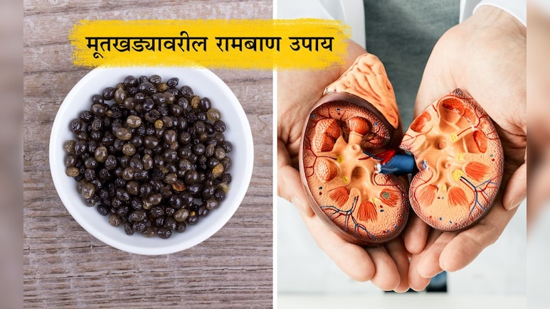 Kidney Stone Treatment: या बिया मूतखड्याचे तुकडे करुन लघवीवाटे फेकतील बाहेर, फायदे-उपचाराची पद्धत जाणून घ्या